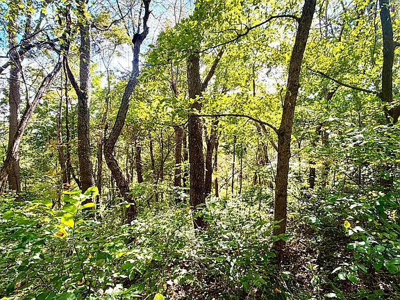 4th image of 0 Rouse Rd
