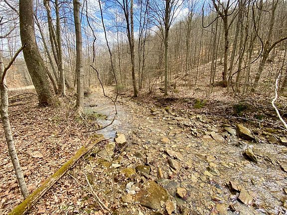 4th image of 20 Beech Fork Rd