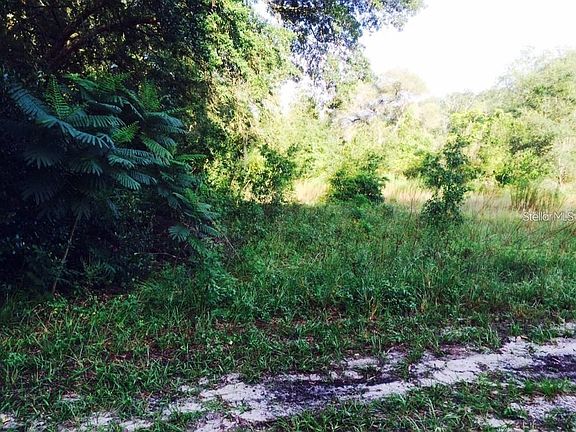 4th image of 111 Frederick St