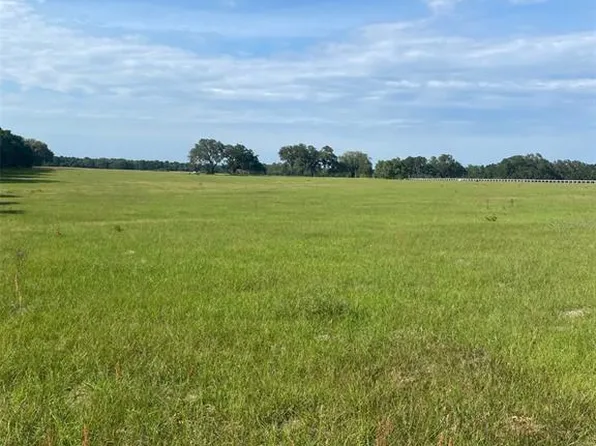 0 NW 163rd Ter, Morriston, FL 32668