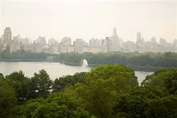 Sold by Douglas Elliman | media 6
