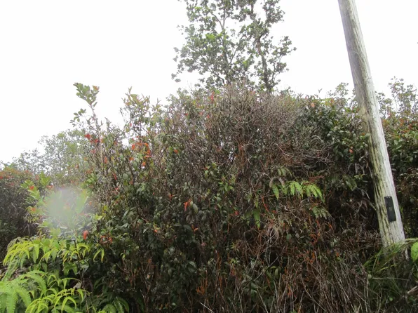 Manini Cir Lot 12, Mountain View, HI 96771