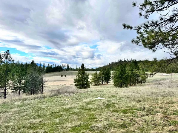 Xx W Webb Ave, Springdale, WA 99173