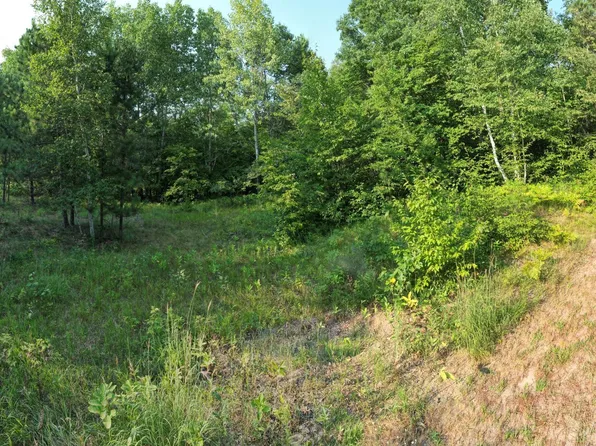 Solitude Way, Merrifield, MN 56465