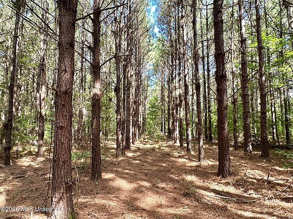 5th image of 2 Dry Creek Rd