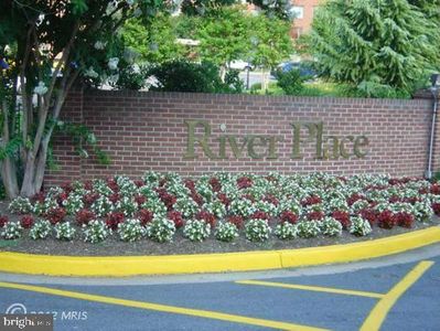 1021 Arlington Blvd APT 233, Arlington, VA, 22209
