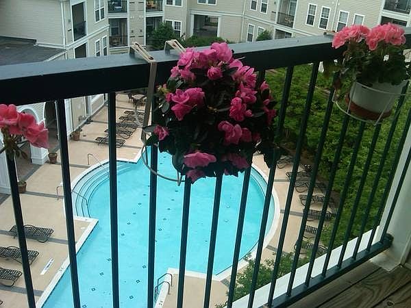 1st image of 2055 26th St S APT 402