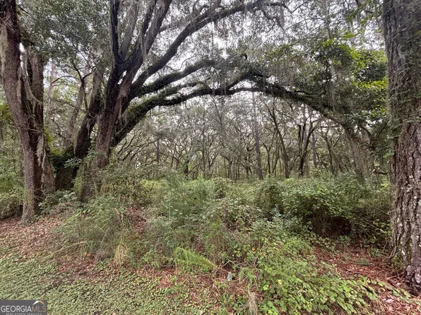 4 Carnochan Ln SE, Darien, GA 31305