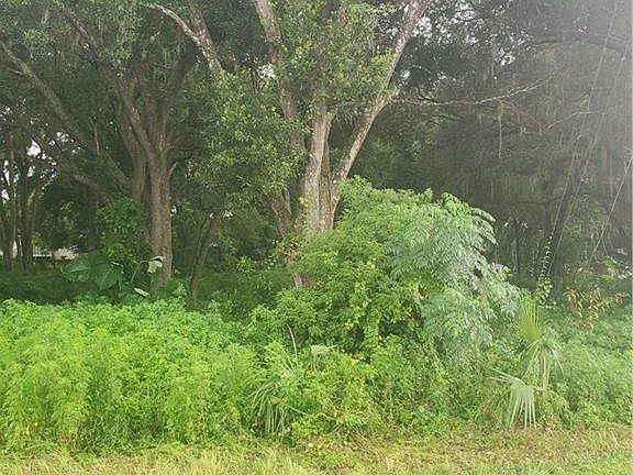 4th image of 3840 E Orange Dr