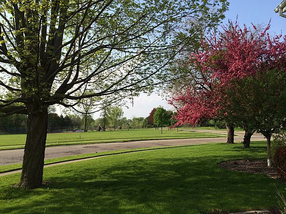 park view