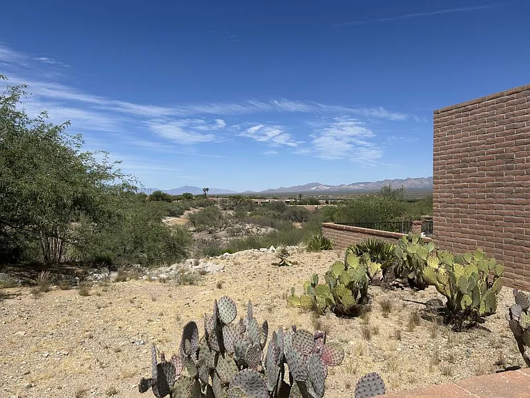 1230 W Camino Del Pato — Photo 16