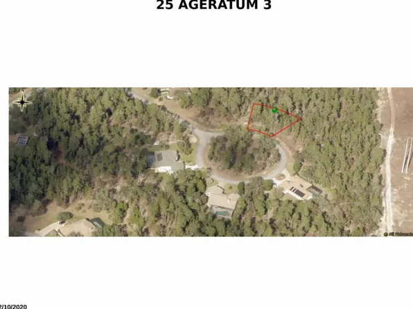 25 Ageratum Ct, Homosassa, FL 34446