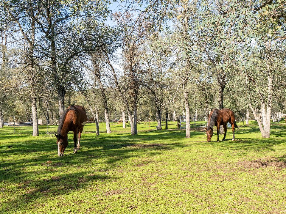 22638 Antler Rd, Millville, CA 96062 Zillow