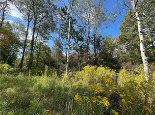 0 Pre Emption Rd, Watkins Glen, NY 14891