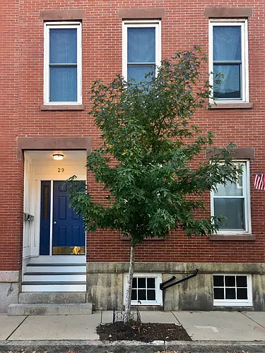 29 Essex St #1 Photo 1