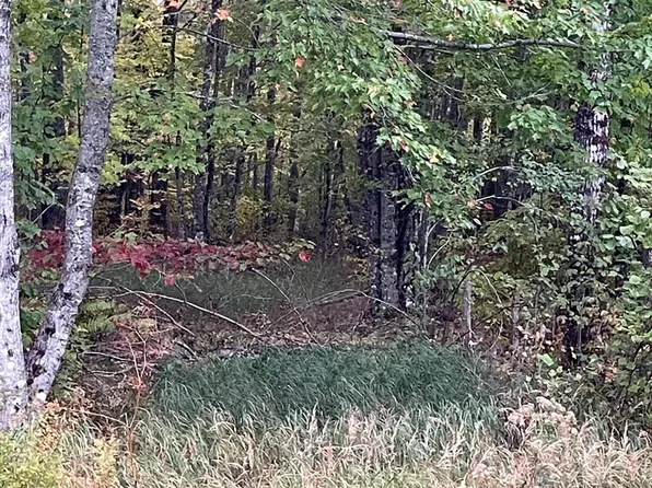 M1978L91G Airline Rd, Crawford, ME 04694