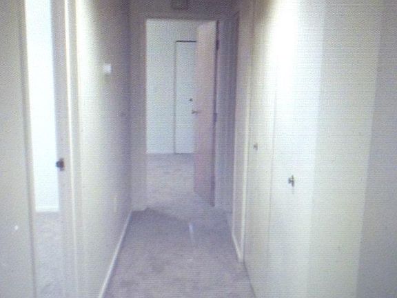3rd image of 20 Stenton Ave #103