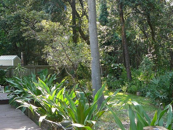 Feel like you are in a Rainforest!