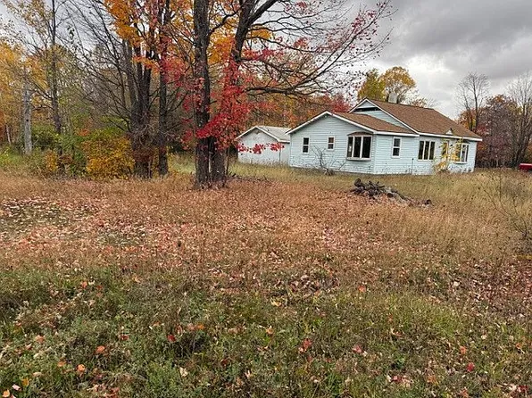 101 Alder Ln, Carp Lake Township, MI 49971