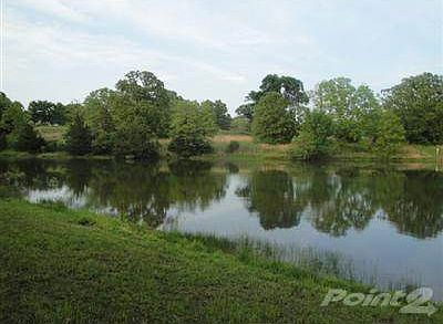 Set on your deck and watch the deer, turkey and birds drink from the pond.