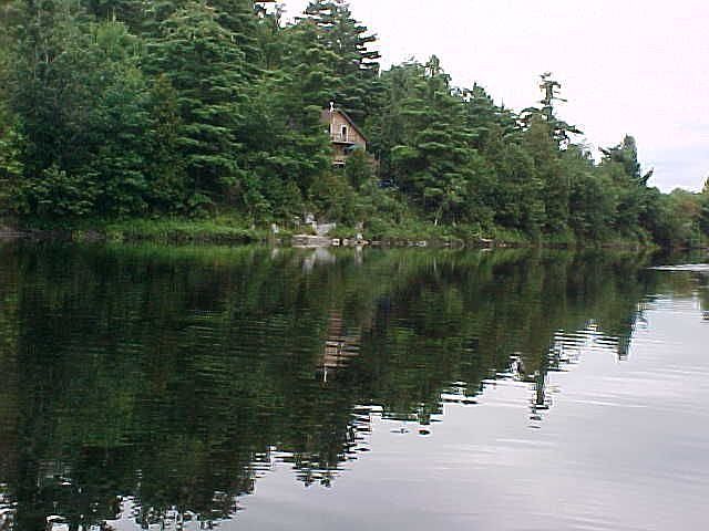 River View 