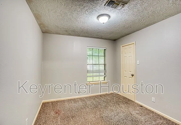 4419 Curly Oaks Dr — Photo 13