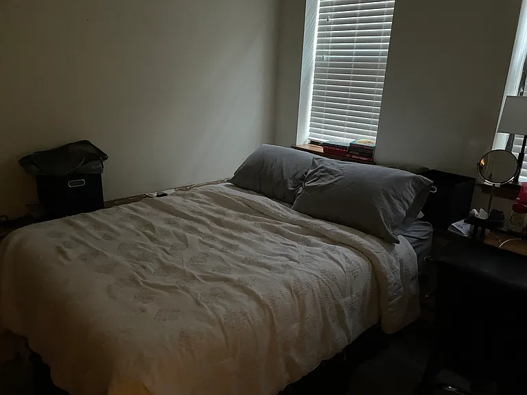 28 Symphony Rd #3 — Photo 5