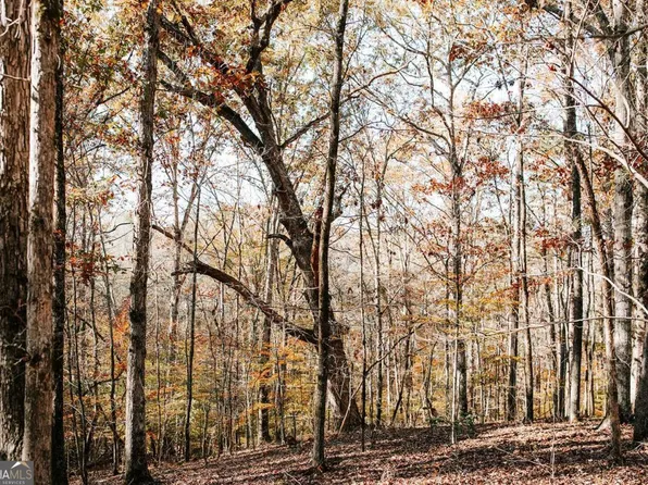 0 Greensboro Rd, Crawfordville, GA 30631