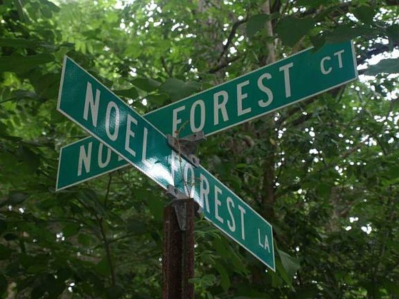5th image of 7407 Noel Forest Ct