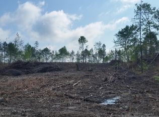 9 Co Rd, Natural Bridge, AL 35577