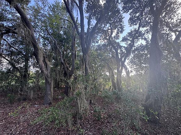 4th image of 2251 E FOUR SEASONS LANE LOT 4