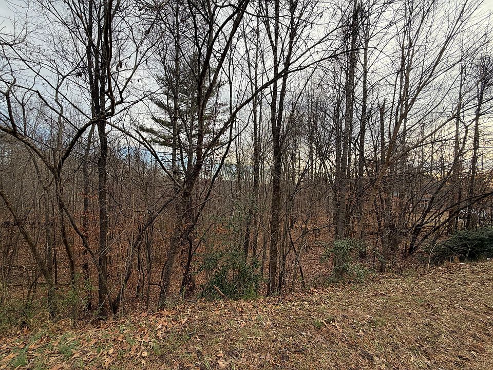 2nd image of 17 Bassett Heights Rd