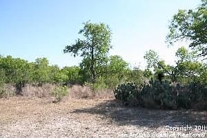 1st image of 386 County Road 155
