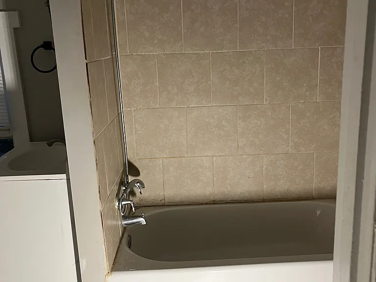 302 S Wayne Ave #3 — Photo 12