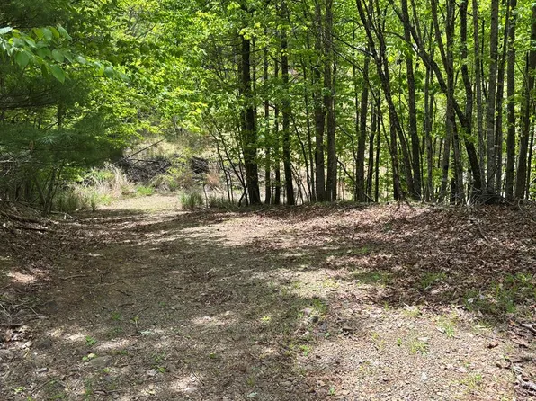 389 Live Oak Ln, Galax, VA 24333