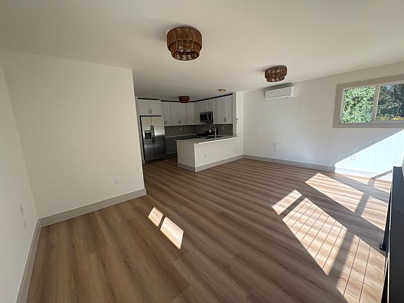 Living area ans kitchen