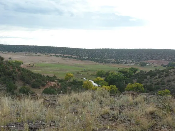 7695 Del Rio Dr, Show Low, AZ 85901