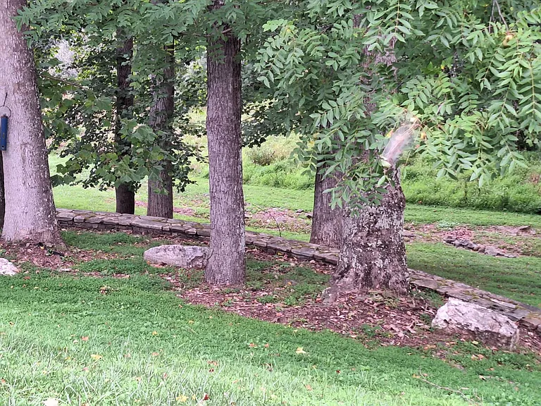 Knoll Run Ln — Photo 20