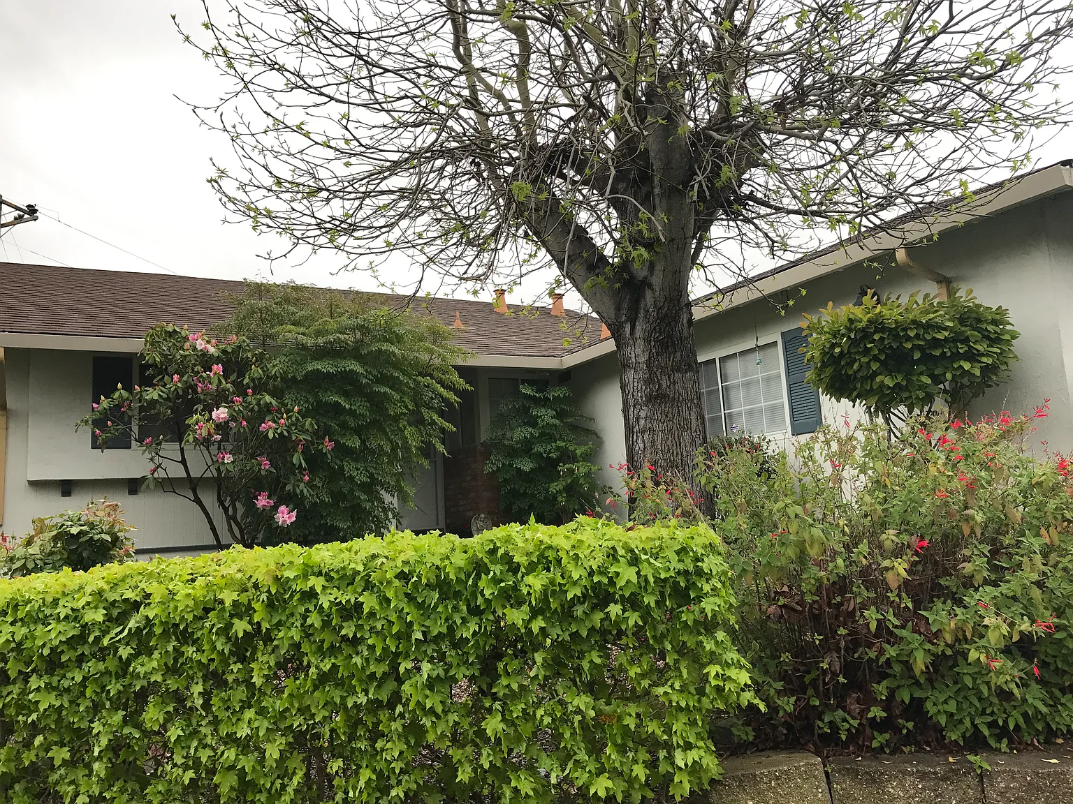 3500 Stewarton Dr photo 1