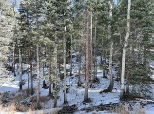 133 Squilchuck Trl, Woodland Park, CO 80863