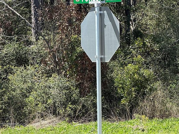 3rd image of 15648 Cricket Creek Ct Lot 11