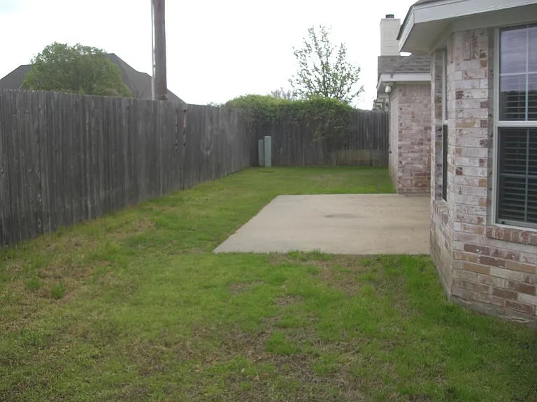 Backyard