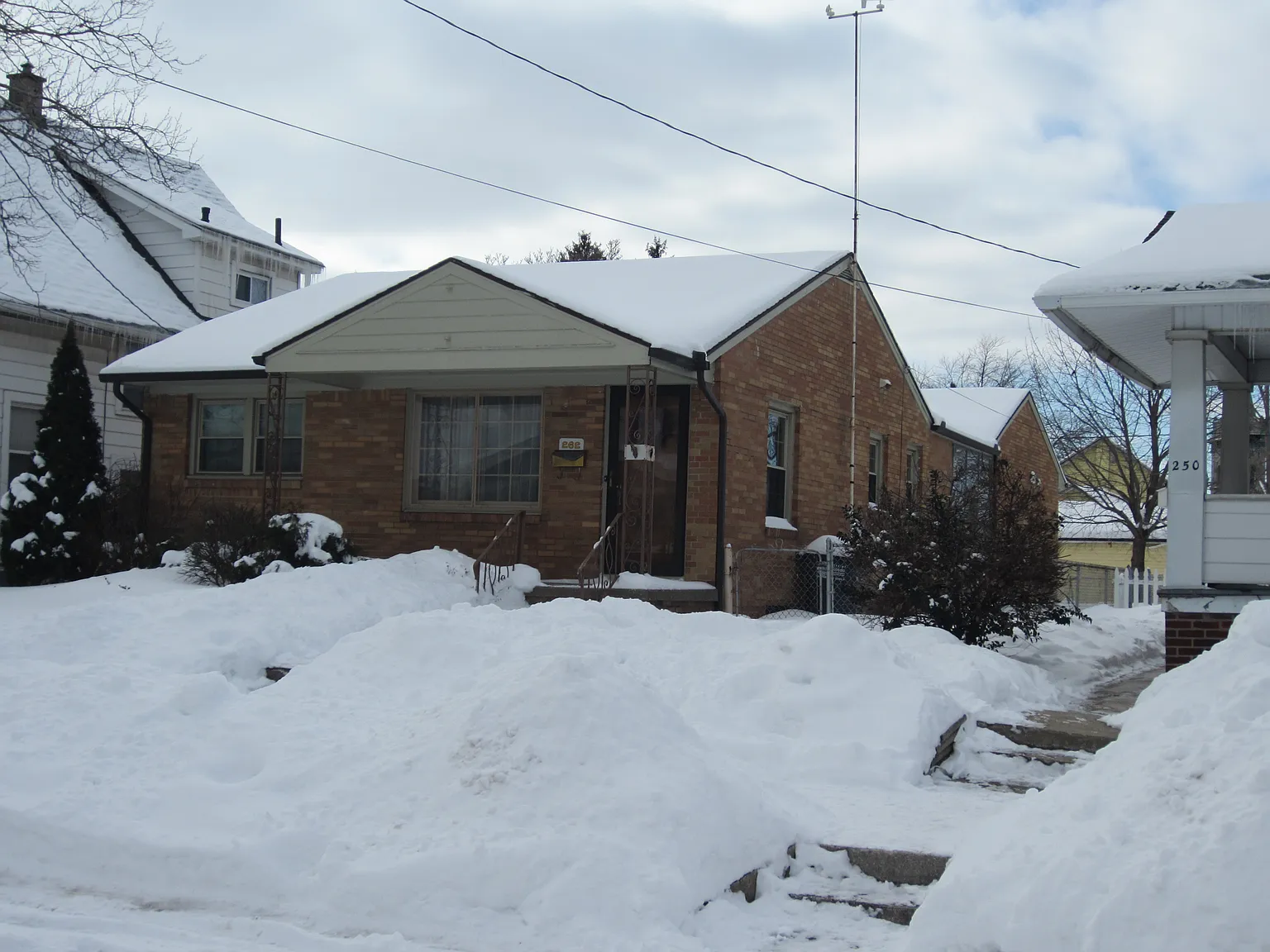 262 Willard St photo 1