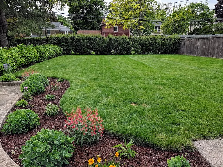 Large Back Yard - Owner Pays for Routine Lawn and Yard Maintenance
