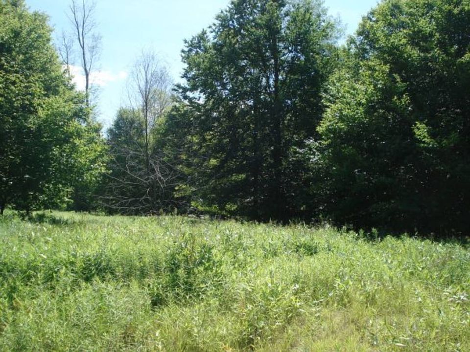 10 Halls Forest Rd, Fishs Eddy, NY 13774 Zillow