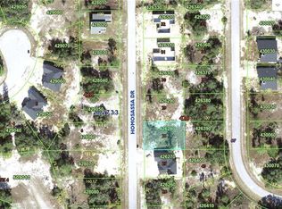 1308 Homosassa Dr, Poinciana, FL 34759