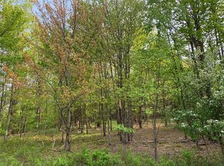 0 White Hill Rd, Oneonta, NY 13820