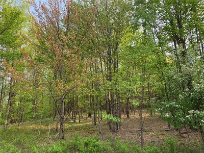 0 White Hill Rd, Oneonta, NY, 13820