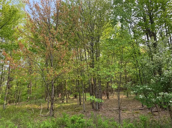 0 White Hill Rd, Oneonta, NY 13820
