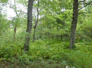 Top Of Mountain Rd, Moorefield, WV 26836